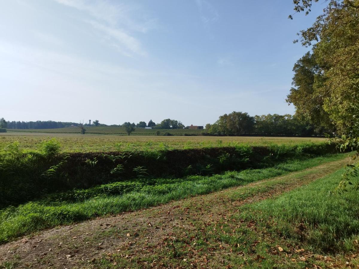 La Cordonnerie De Las Places Campagne-d'Armagnac Luaran gambar